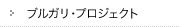 �u���K���E�v���W�F�N�g