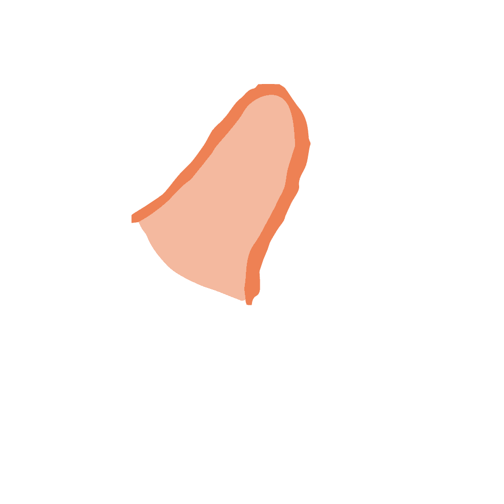 左手