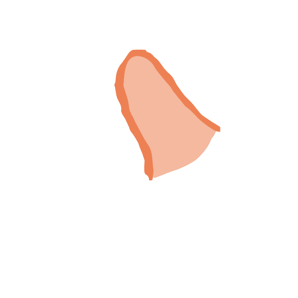 右手