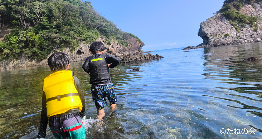 特定非営利活動法人 たねの会