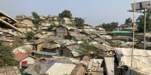 �y���q���M����x���z�o���O���f�V���E�R�b�N�X�o�U�[���̃��q���M����L�����c