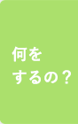 何をするの？